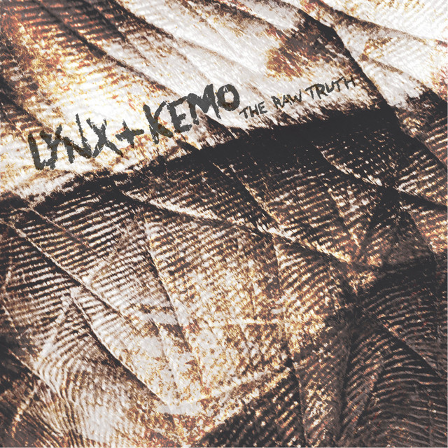 The Raw Truth album cover
