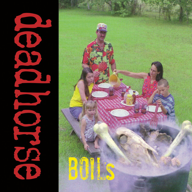 Boils album cover