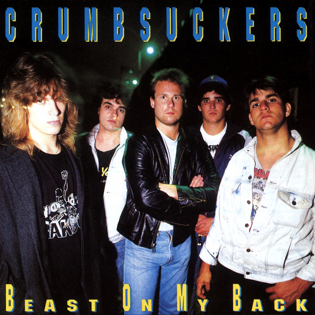 Beast On My Back album cover