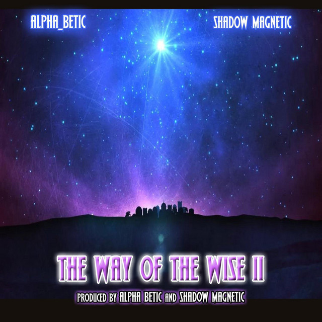 THE WAY OF THE WISE 2 album cover