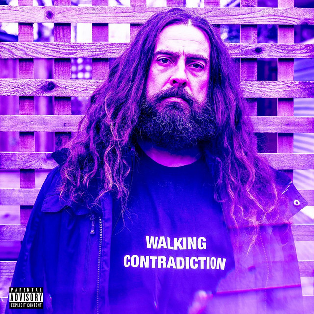 Walking Contradiction album cover