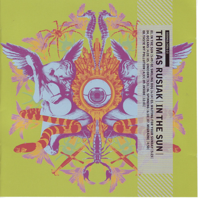 In The Sun album cover