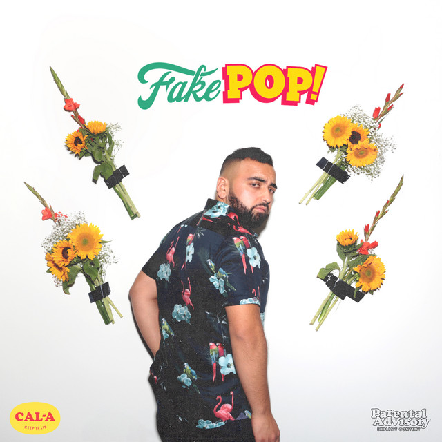 Fake Pop album cover