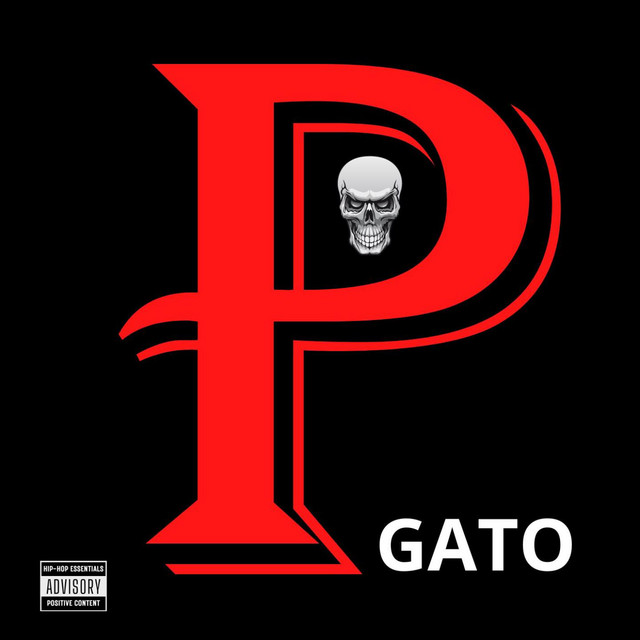 P album cover