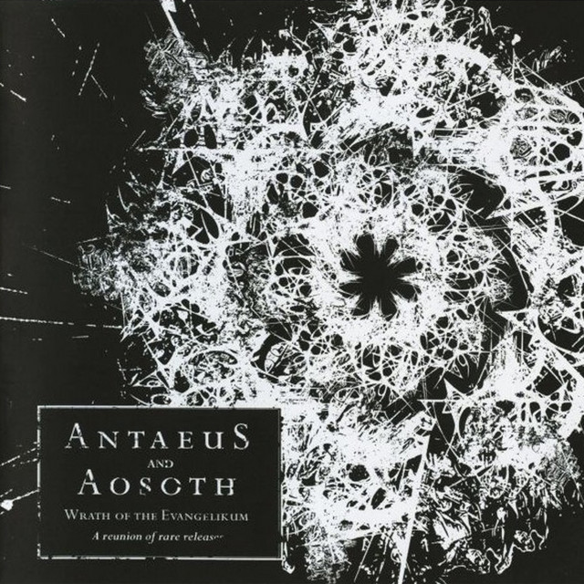 Wrath of the Evangelikum (A Reunion of Rare Releases) album cover