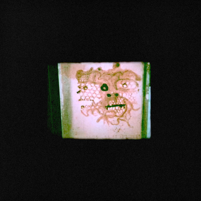 I Read That I Was Dead album cover