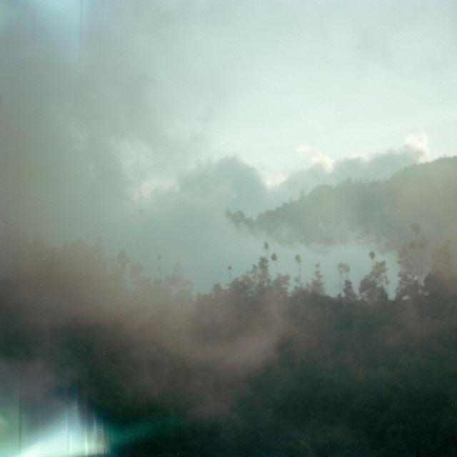 Lake Mist album cover
