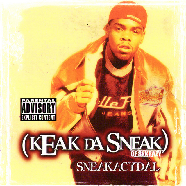Sneakacydal album cover