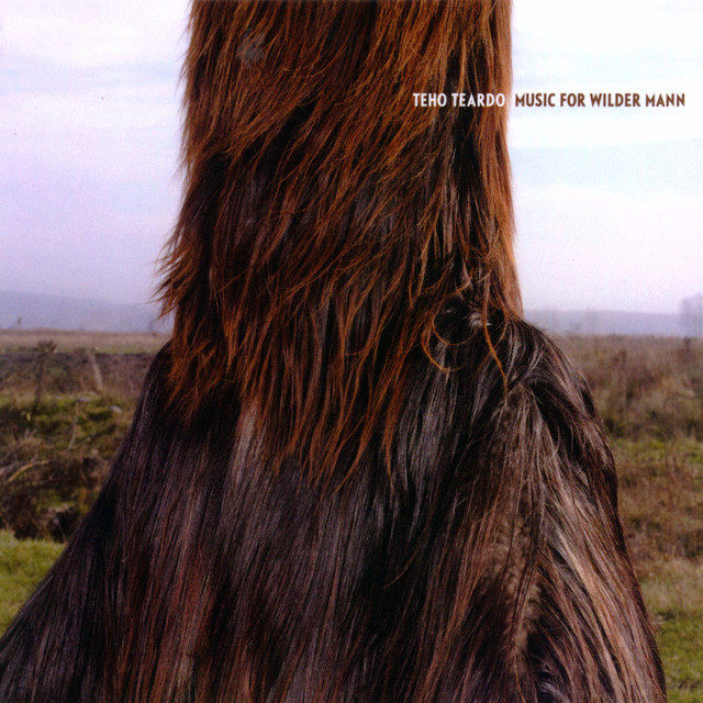 Music for Wilder Mann album cover