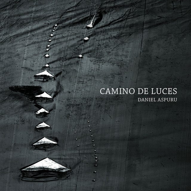 Camino de luces album cover