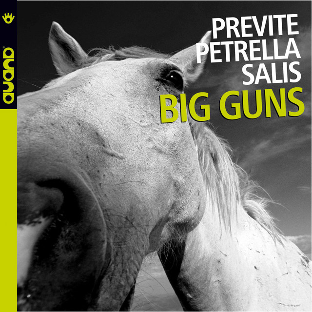 Gianluca Petrella – Big Guns album cover