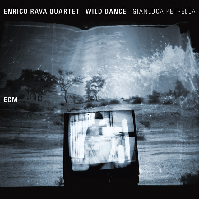 Wild Dance album cover
