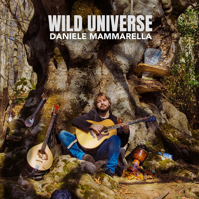 Wild Universe album cover