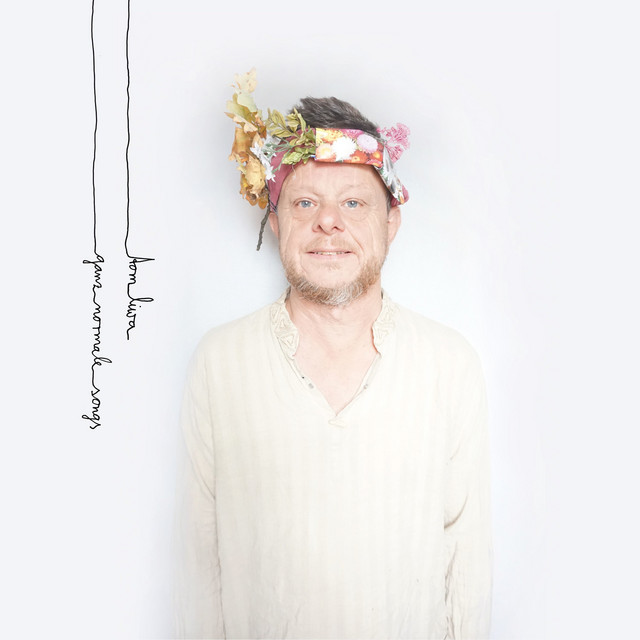 Ganz normale Songs album cover