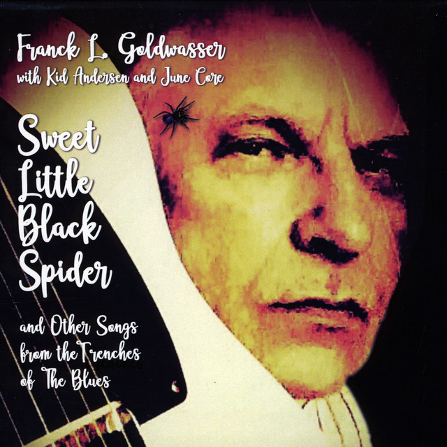 Sweet Little Black Spider and Other Songs from the Trenches of the Blues album cover