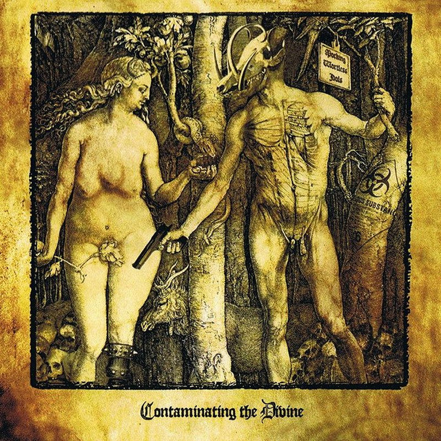 Contaminating the Divine album cover