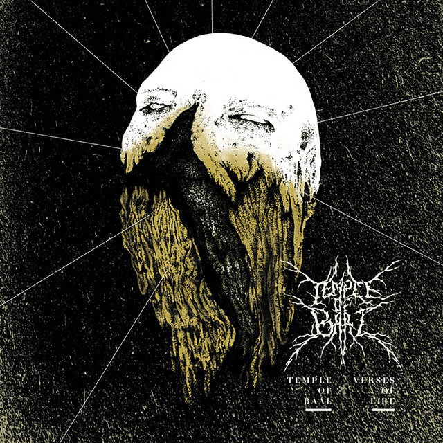 Verses Of Fire album cover