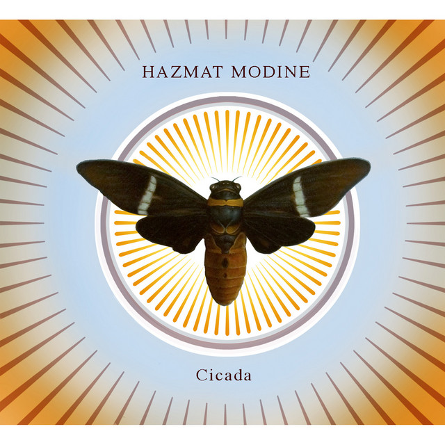Cicada album cover