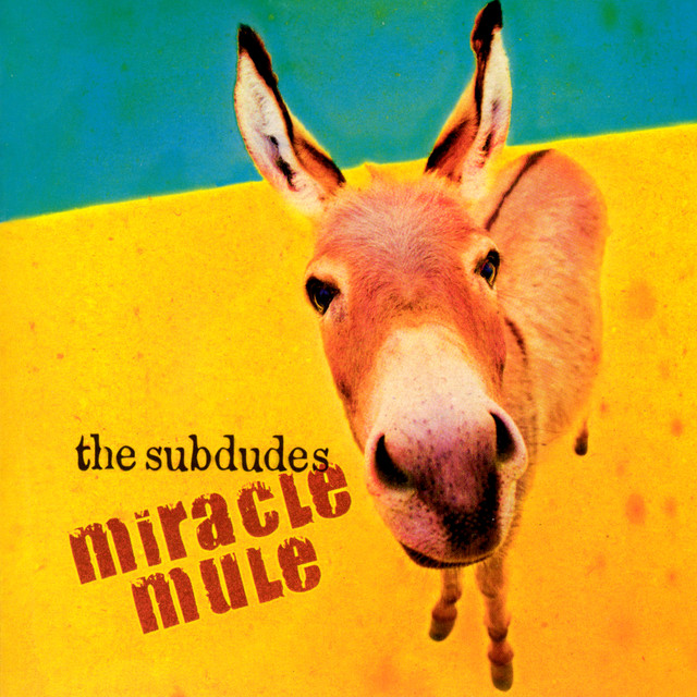 Miracle Mule album cover