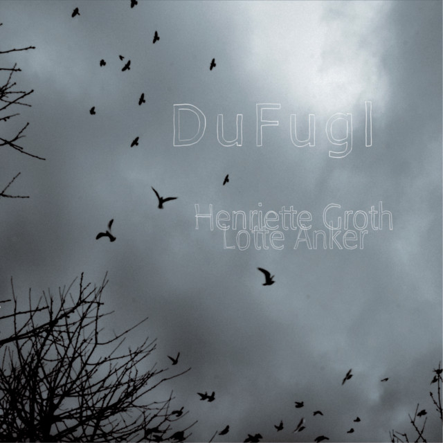 Du Fugl album cover