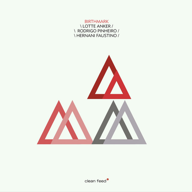 Birthmark album cover