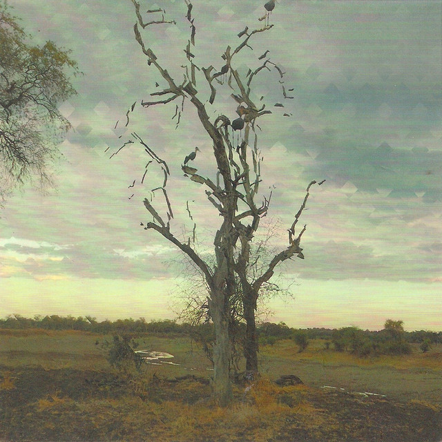 Fitness Landscape album cover