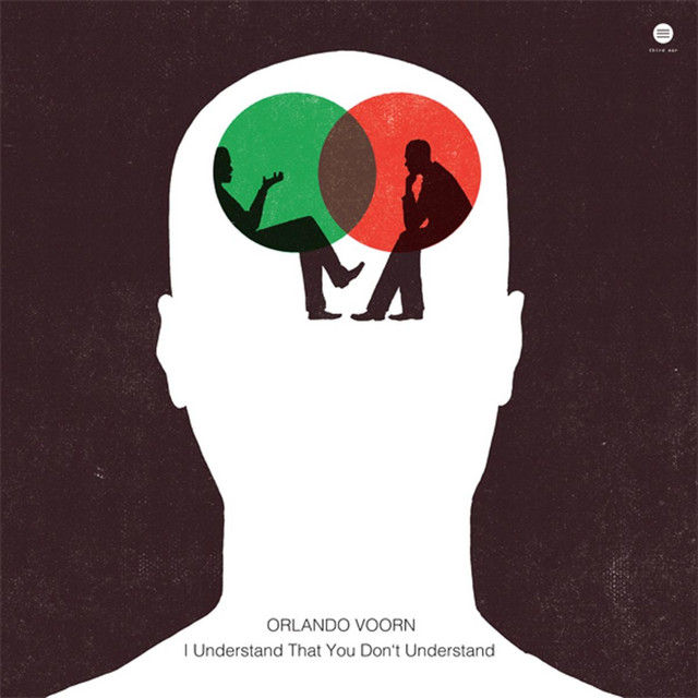 I Understand That You Don't Understand album cover