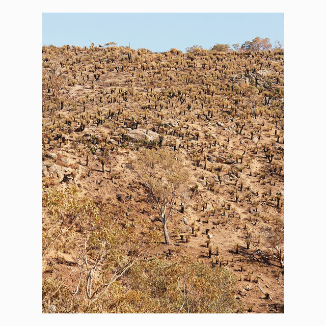 Palimpsests album cover