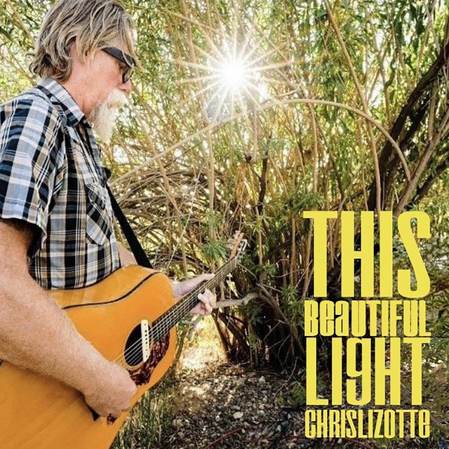 This Beautiful Light album cover