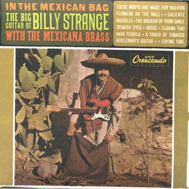 In the Mexican Bag album cover
