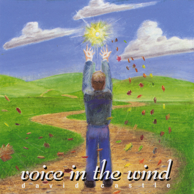 Voice In The Wind album cover