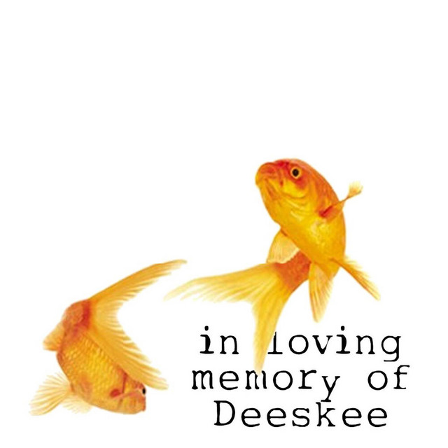 In Loving Memory Of album cover