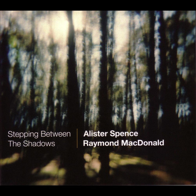 Stepping Between the Shadows album cover