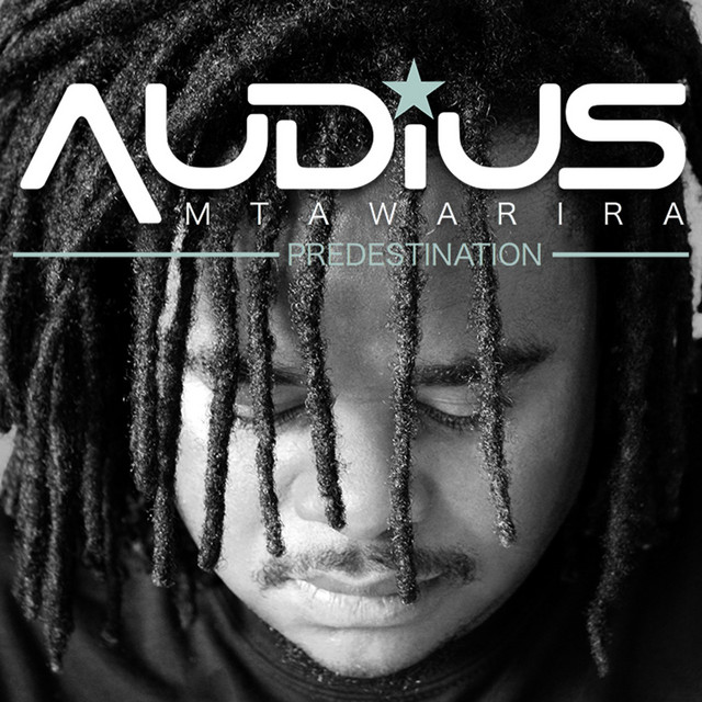 Predestination album cover