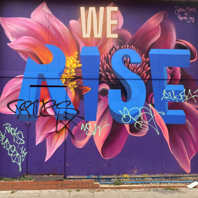 We Rise album cover