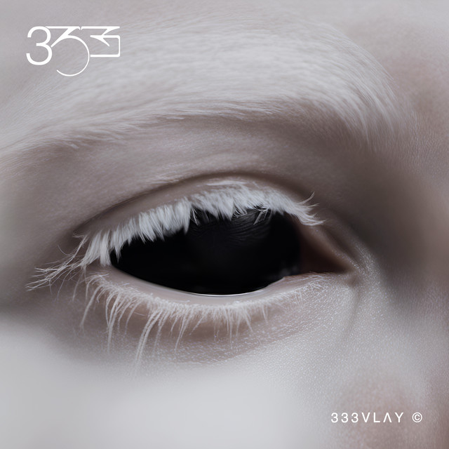 333 album cover