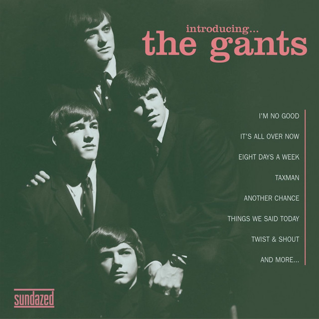 Introducing... The Gants album cover