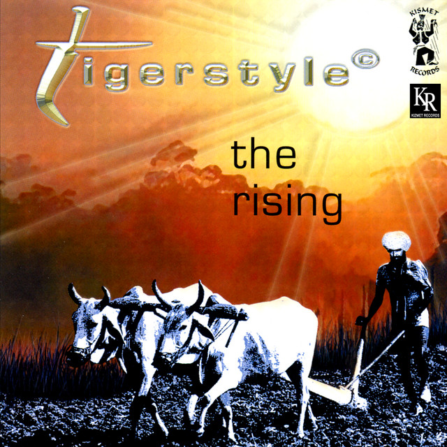 The Rising album cover