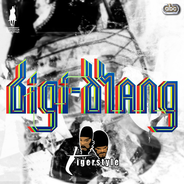 Digi-Bhang album cover