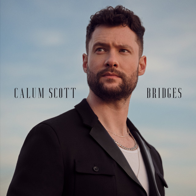 Bridges album cover