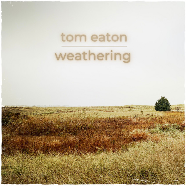 weathering album cover