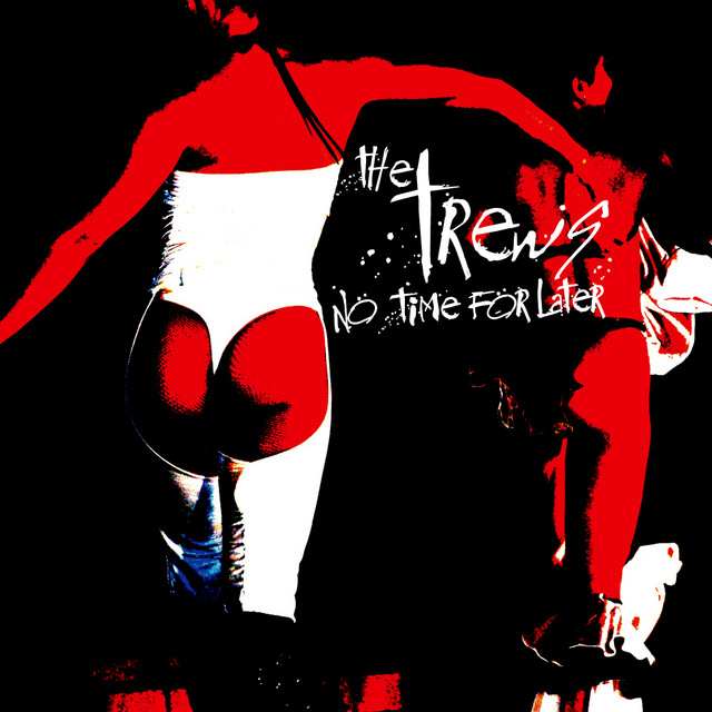 No Time For Later album cover