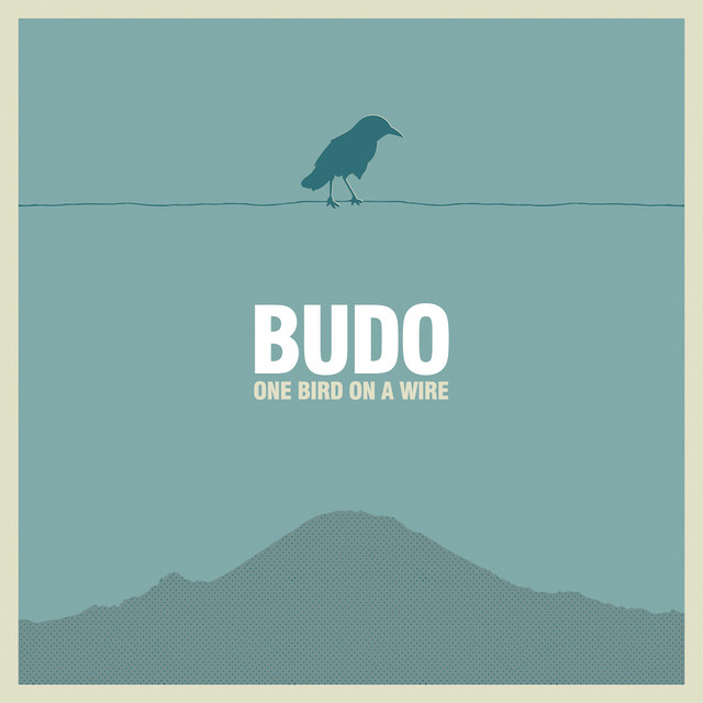One Bird on a Wire album cover