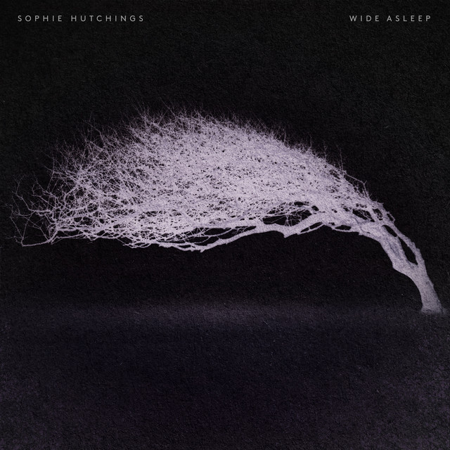 Wide Asleep album cover