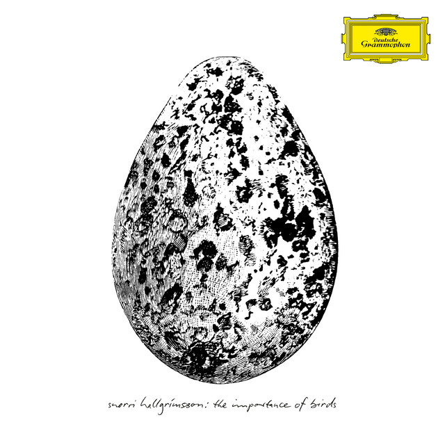 The Importance of Birds album cover