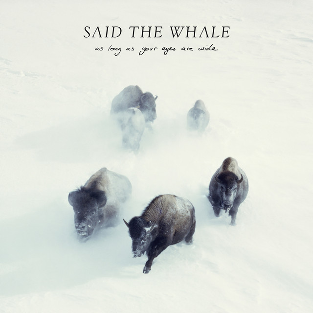 As Long As Your Eyes Are Wide album cover