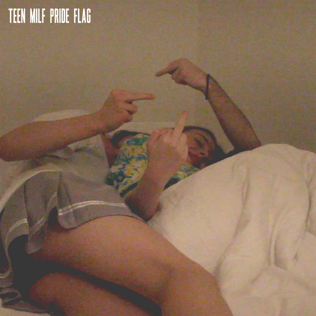 TEEN MILF PRIDE FLAG album cover