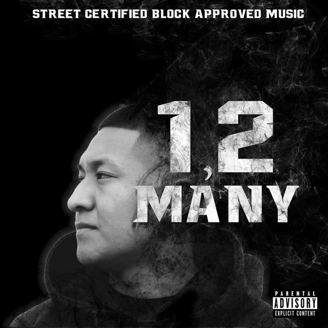 1 2 Many album cover