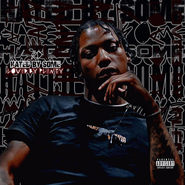 Hated by Some, Loved by Plenty album cover