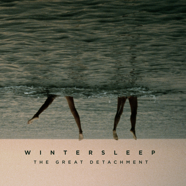 The Great Detachment album cover